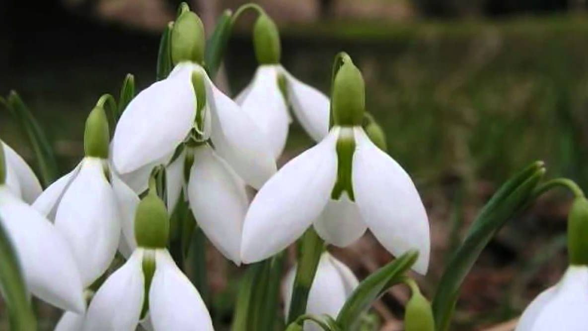 Horoscop martie 2019: Apar lucruri neprevăzute pentru toate zodiile