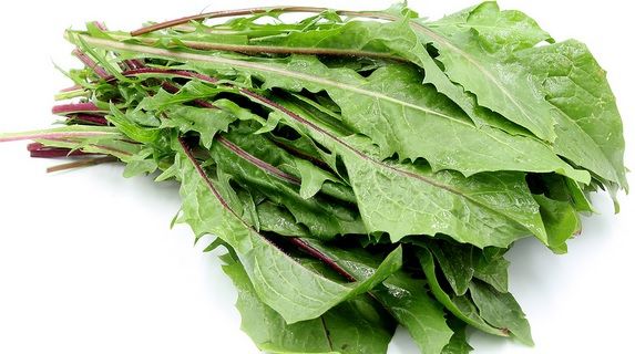 Floarea banală care tratează bolile renale, hepatita și cancerul