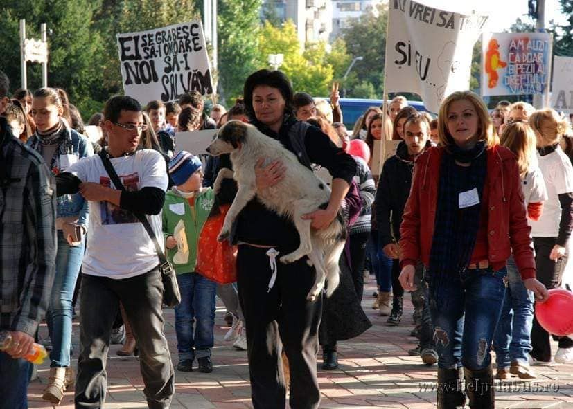 Câinele mascotă al protestelor din Galaţi îşi caută stăpân