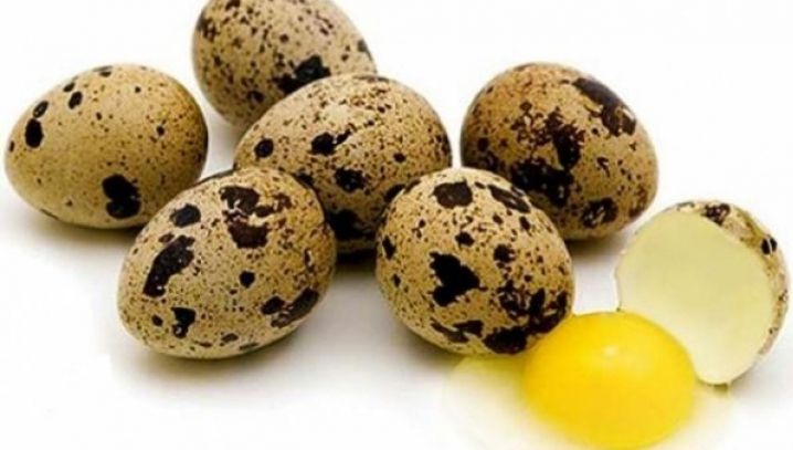 10 beneficii ale oului de prepeliţă. Ce boli pot fi tratatea cu ajutorul acestui aliment