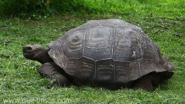 Descoperire fascinanta făcută de cercetători 