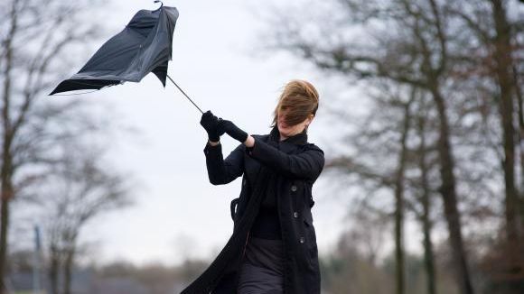 Județele Timiș și Arad sub cod GALBEN de vânt puternic 