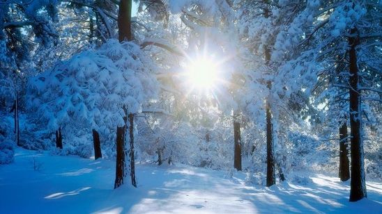 Schimbări dramatice ale vremii: lapoviță și ninsoare. Temperaturile SCAD cu 20 de grade!