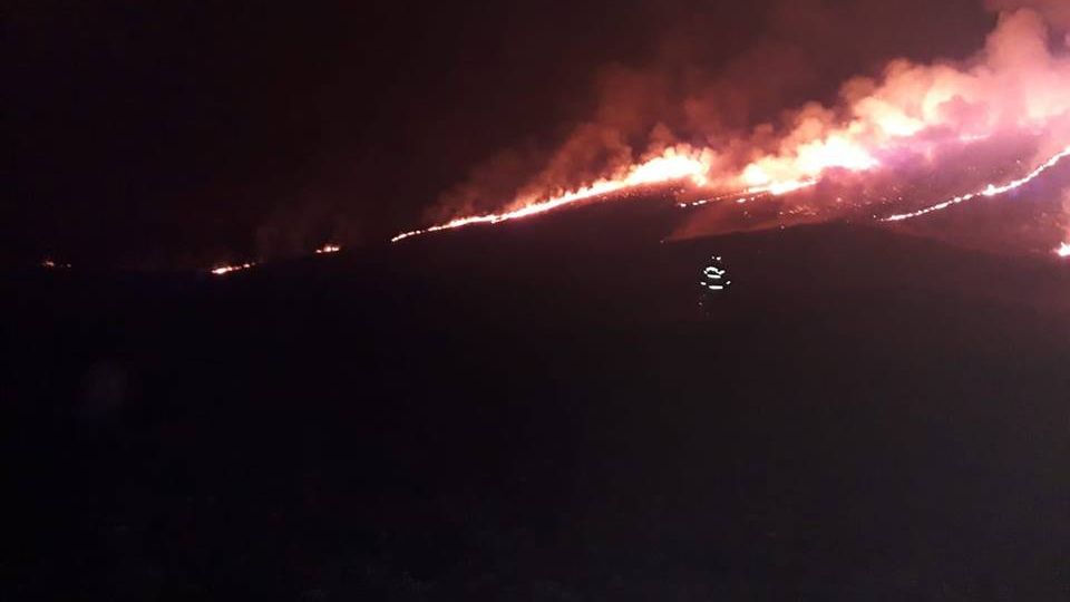 Incendiu violent în Buzău. Arde pădurea, iar echipele de intervenție nu pot opri flăcările