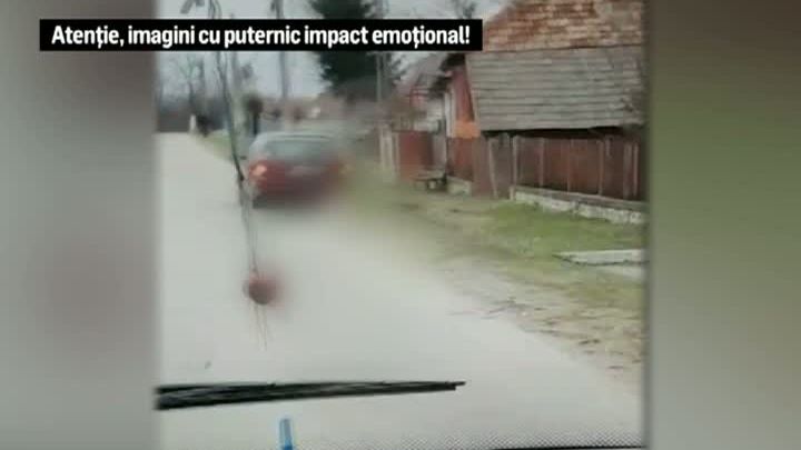 Cruzime rară în Argeş! Un câine a fost legat de o mașină și târât prin sat
