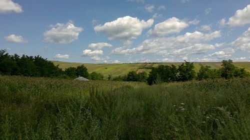 Caz șocant la Vaslui. Trei tineri au violat o femeie și au lăsat-o să moară pe câmp