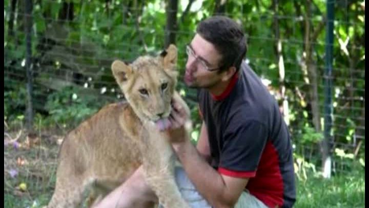 CUMPLIT! Un bărbat a fost mâncat de viu de un leu, pe care îl creştea acasă. VIDEO