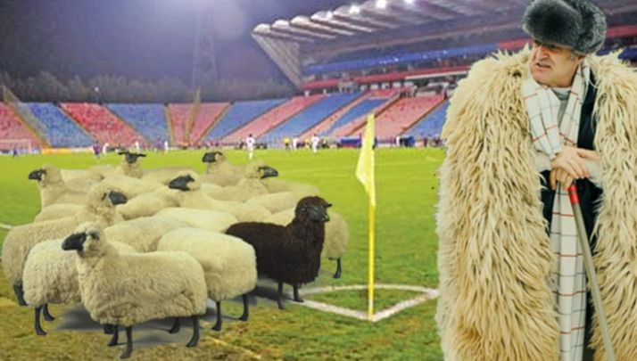 Imagini fabuloase cu Gigi Becali, ”dirijor” de oi pe șosea