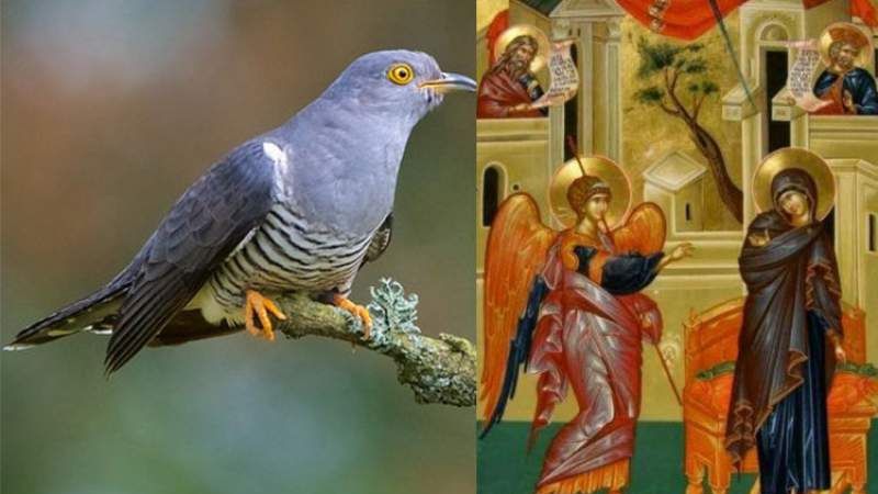 În ziua de BUNA VESTIRE a auzit cucul cântând de 3 ori. Când a aflat ce înseamnă a înlemnit