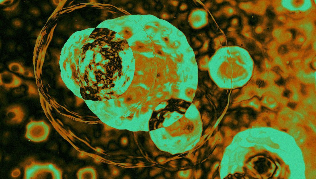 Îmbătrânirea ar putea fi oprită? Descoperirea șocantă făcută de oamenii de știință 