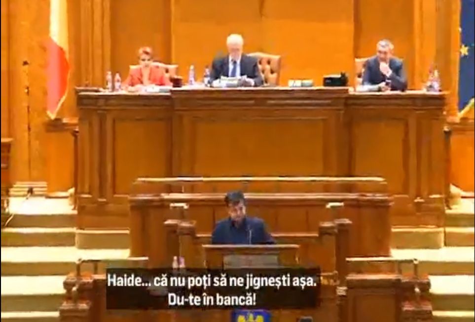 Circ în Parlament, replici ca la piaţă între Olguţa Vasilescu şi Tinel Gheorghe (VIDEO)