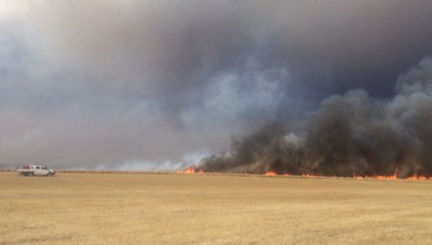 Autostrada A1 Bucureşti - Piteşti, blocată de un incendiu de vegetaţie