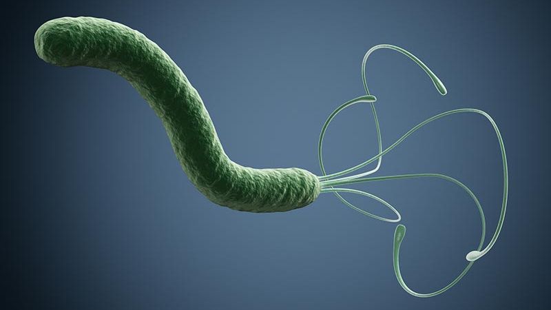 Bacteria care distruge stomacul. Se poate afla în corpul tău fără să îţi dai seama