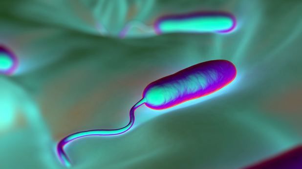 Probleme cu holera. Mii de doze de vaccin trimise în zonă 