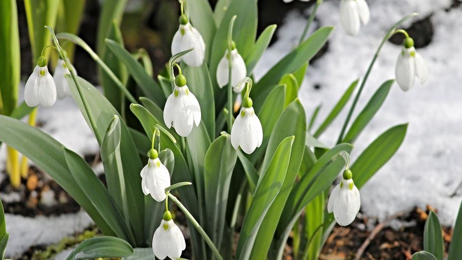 Prognoza meteo a fost revizuită. Schimbări spectaculoase: cum va fi vremea până pe 1 aprilie