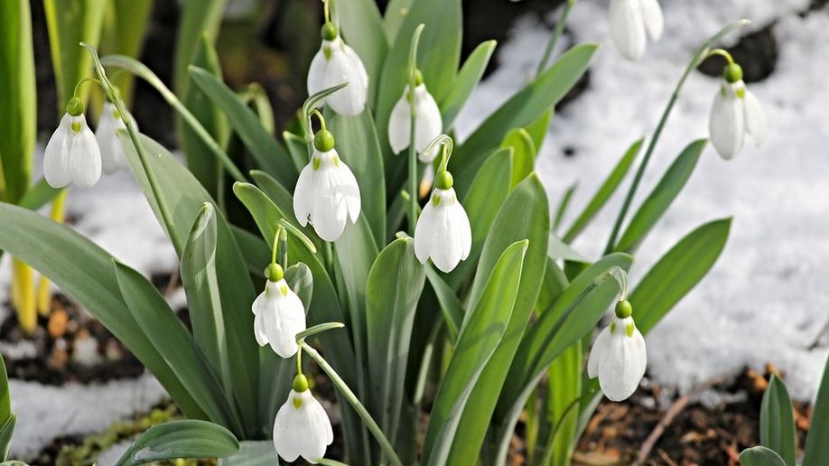 Prognoza meteo a fost revizuită din nou: schimbări spectaculoase. Cum va fi vremea până pe 8 aprilie