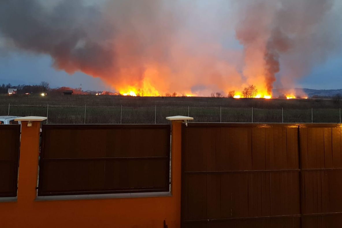 Incendiu violent de vegetaţie! Traficul pe DN1, blocat!
