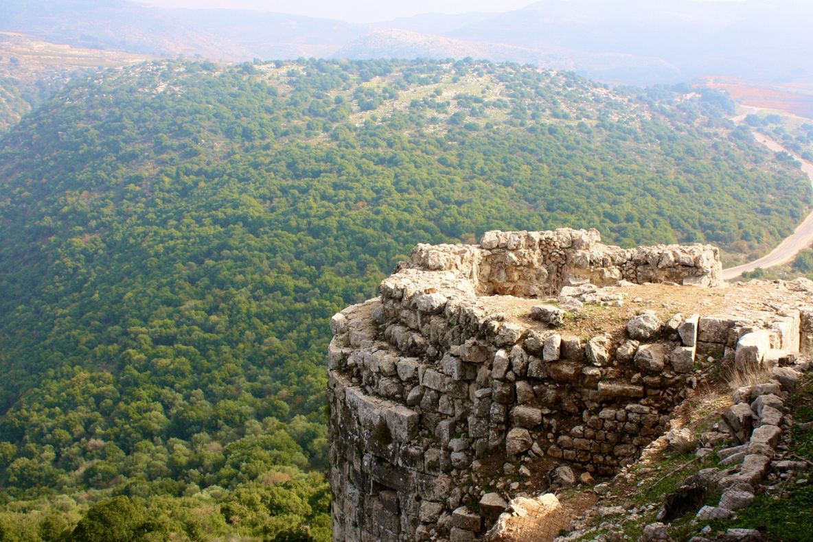 TENSIUNI. Furie în Rusia și Turcia după noul cadou făcut de Trump Israelului