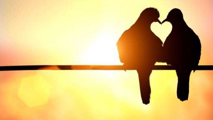 Chimie sau emoție? Reacțiile creierului uman, absolut fabuloase 