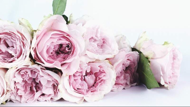 Tradiții de Ziua Femeii. Tu știi ce trebuie să faci azi? 