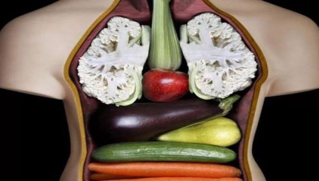 Medicina lui Dumnezeu. Plantele seamănă cu organele pe care le vindecă