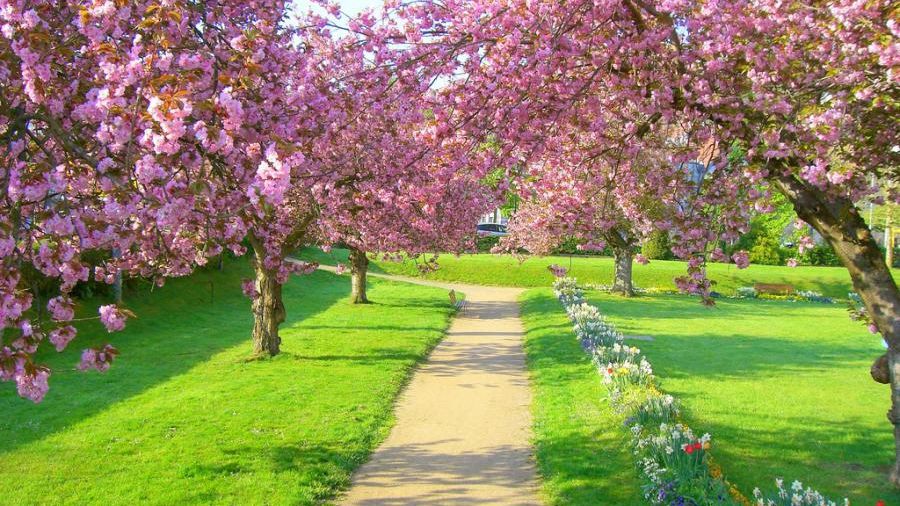 Prognoza meteo pentru luna martie, revizuită. Sunt anunțate temperaturi RECORD!