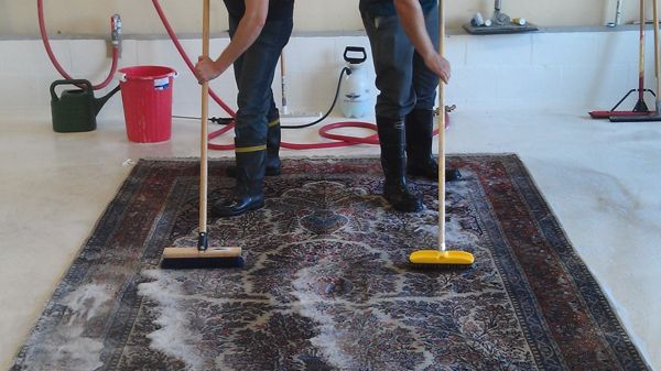 Ce a pățit o tânără din Suceava în timp ce spăla cu furtunul un covor în curtea casei? Este GROAZNIC