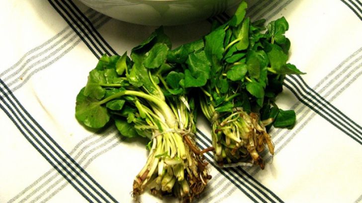 Adevărul despre untișor. Îl mâncăm fără să știm cât de toxic e de fapt pentru organism