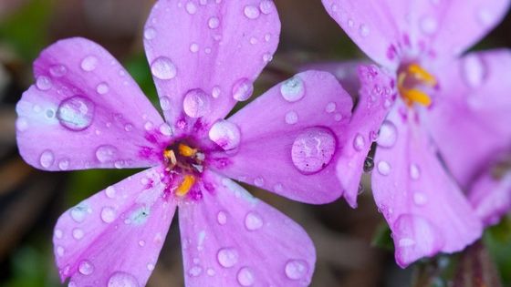 Prognoza meteo a fost revizuită. Cum va fi vremea până pe 22 aprilie