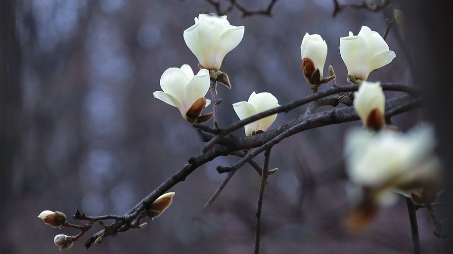 Prognoza meteo a fost revizuită. Schimbări neașteptate: cum va fi vremea până pe 15 aprilie