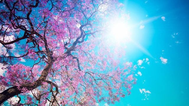 Vremea în weekend. Vești bune de la meteo