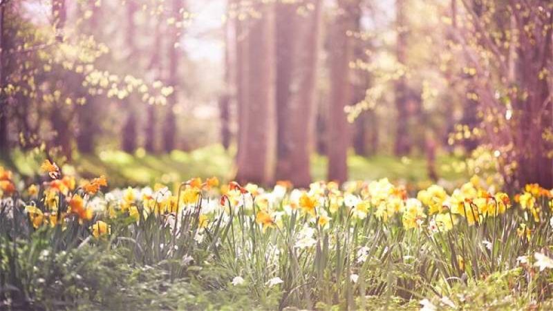 Cum va fi vremea în următoarele zile? Anunț de ultimă oră de la meteo