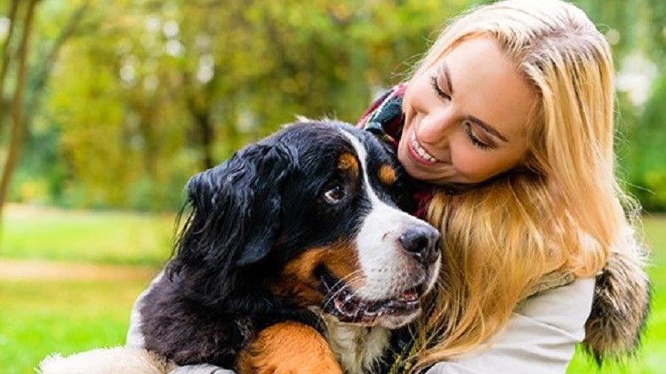 Proprietarii de câini, mai fericiți decât cei care au pisici