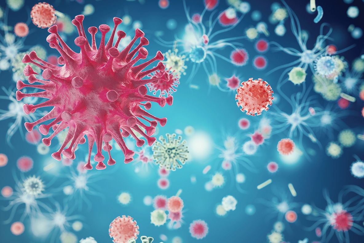 Animalul care poate detecta cancerul. Incredibil 