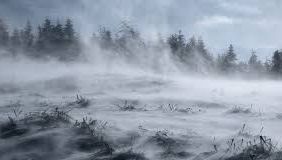 Vremea rea nu se dă bătută! COD GALBEN de viscol și vânt