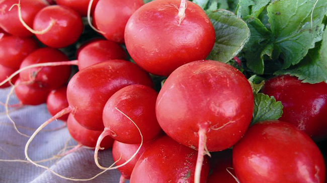 Dieta cu ridichi te ajută să slăbești rapid. Scapi de 5 kg în doar 7 zile