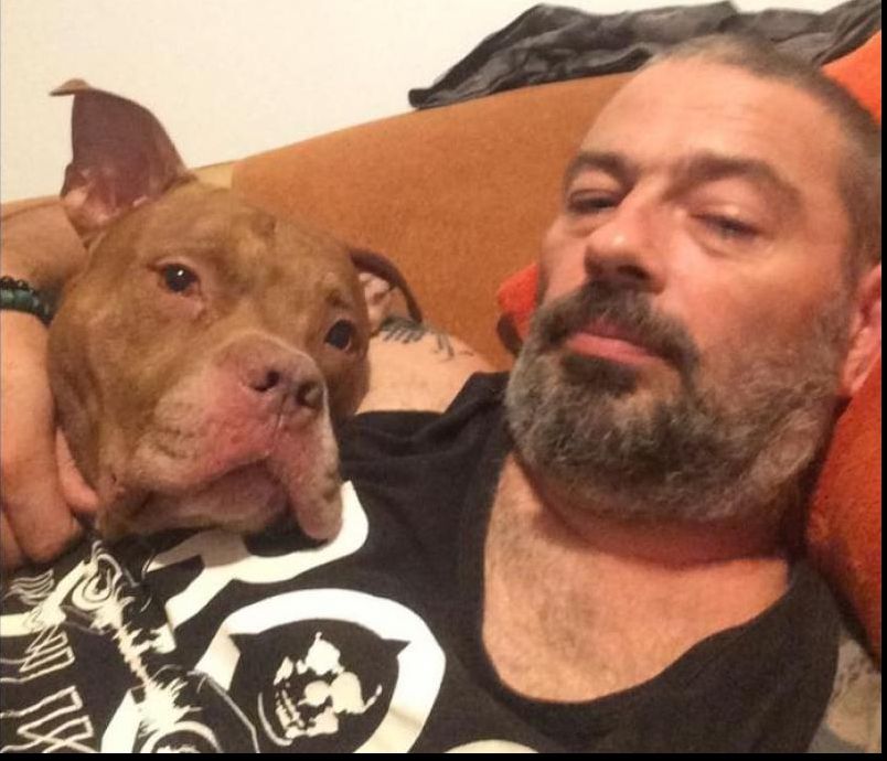 Decizia instanței: fiul lui Andrei Pleşu rămâne sub control judiciar