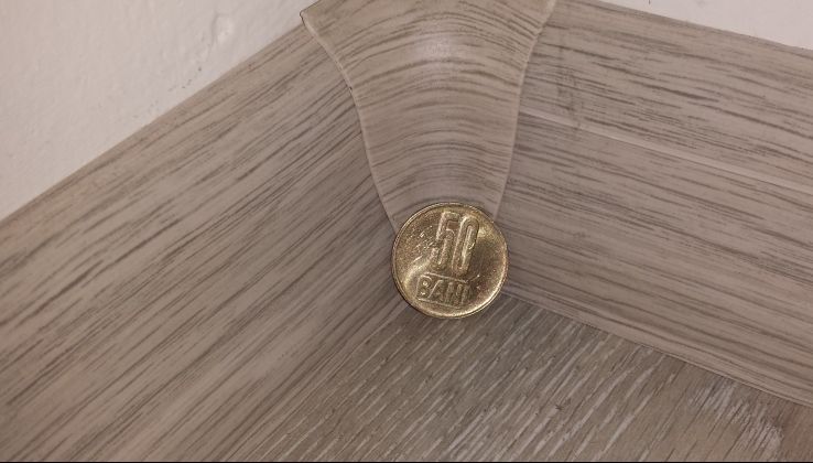Ce se întâmplă dacă pui o monedă de 50 de bani într-un colţ din casă
