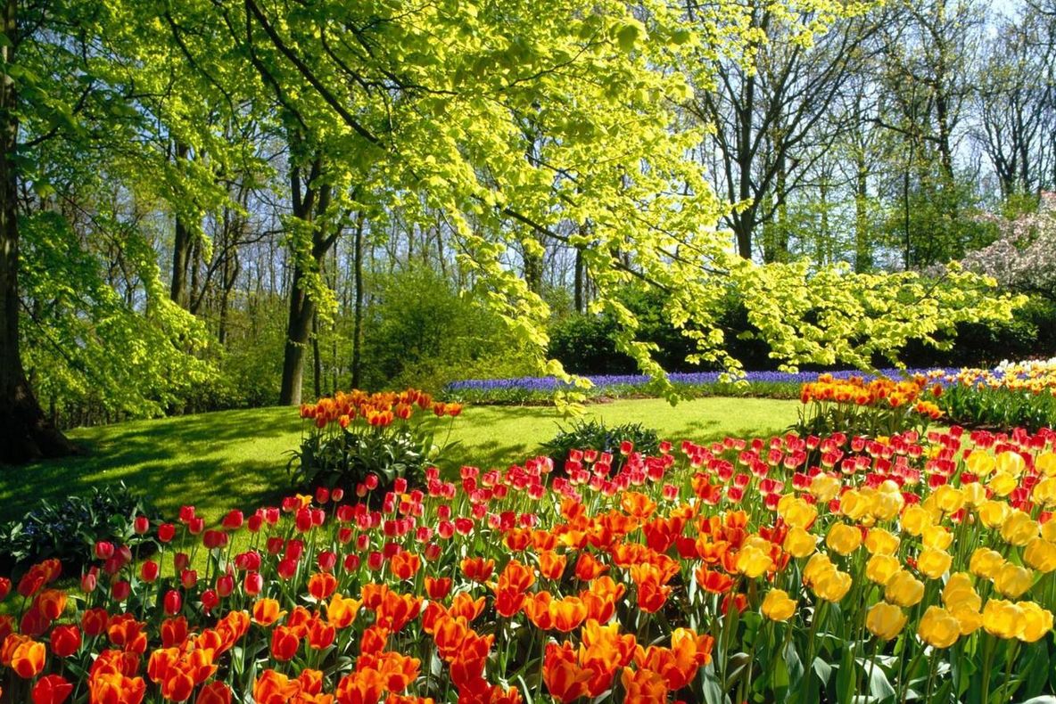  Vremea se schimbă radical! Anunț de ultimă oră de la meteo. Prognoza pentru weekend