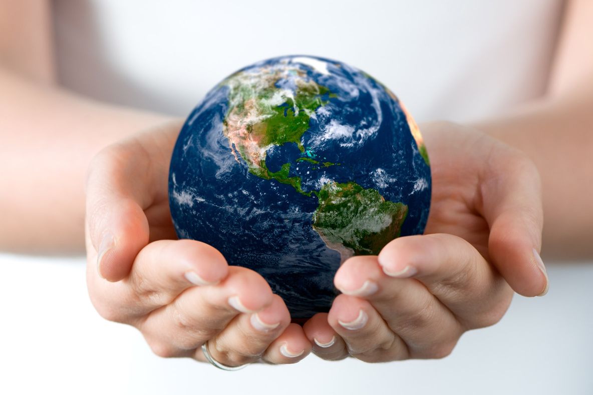 ZIUA PĂMÂNTULUI. Gesturi simple pe care le putem face pentru a sărbători ZIUA PĂMÂNTULUI