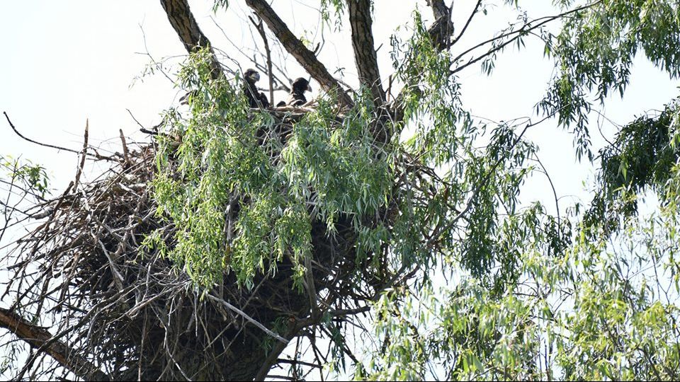 Imaginea fantastică din România care face înconjurul Internetului