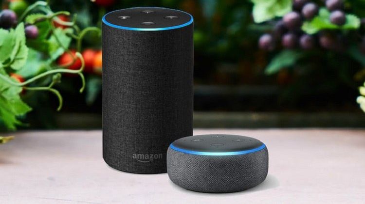 Asistenții digitali, precum Siri și Alexa, accentuează stereotipurile și prejudecățile de gen