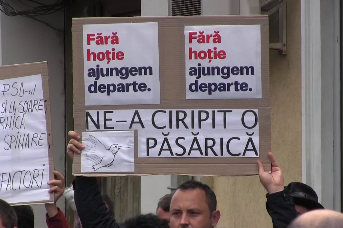 Elevii care au protestat la venirea lui Dăncilă la Arad ar putea fi aspru sancționați
