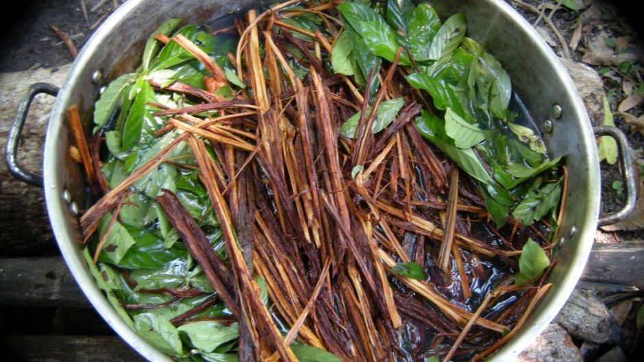 Drogul pe care oamenii îl consumă încă de acum 1.000 de ani