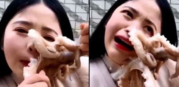 Și-a comandat caracatiță, dar era vie. Când și-a înfipt dinții, aproape i-a smuls pielea! Ce a urmat