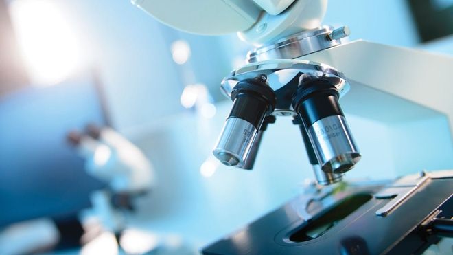 Descoperire fascinantă. Cercetătorii sunt uluiți 