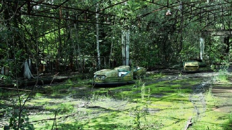 Zona cu cel mai mare dezastru nuclear din istoria umanității a ajuns un adevărat Paradis