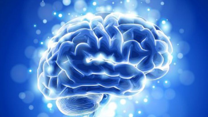 Misterul din creierul tău. Lucruri absolut halucinante pe care nu le știai până acum 