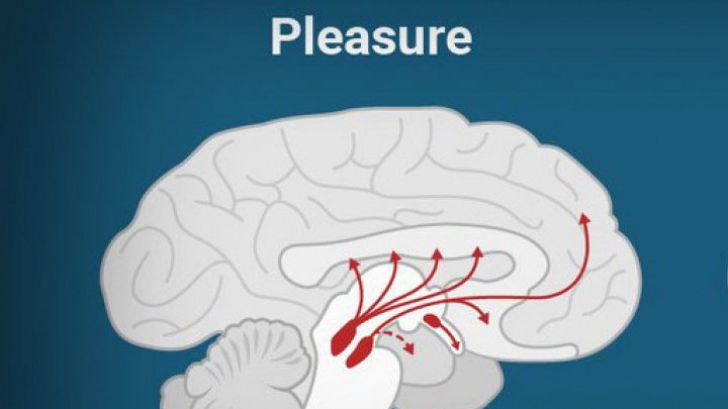 Ce produce la fel de multă plăcere ca un act sexual