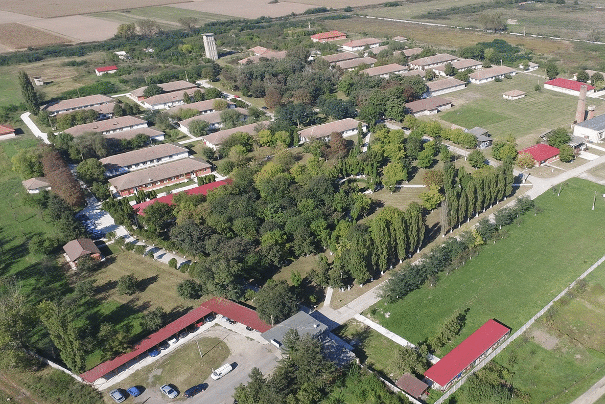 Europarlamentare 2019. Acuzații grave la adresa PSD, într-un județ dominat de PNL